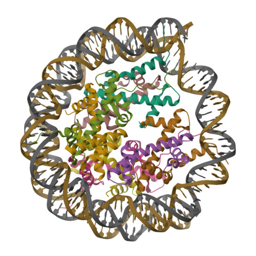 Xfl Structure Example File RCSB PDB - 7XFL: Structure of nucleosome-AAG complex (A-53I, free state)