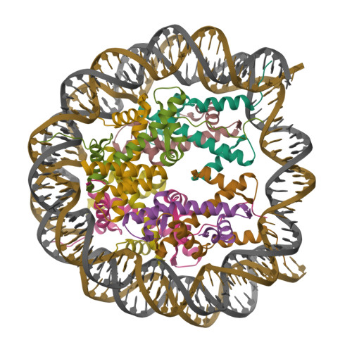 RCSB PDB - 7XFN: Structure of nucleosome-DI complex (-55I, Apo state)