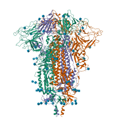 RCSB PDB - 7XIX: SARS-CoV-2 Omicron BA.2 variant spike (state 2)