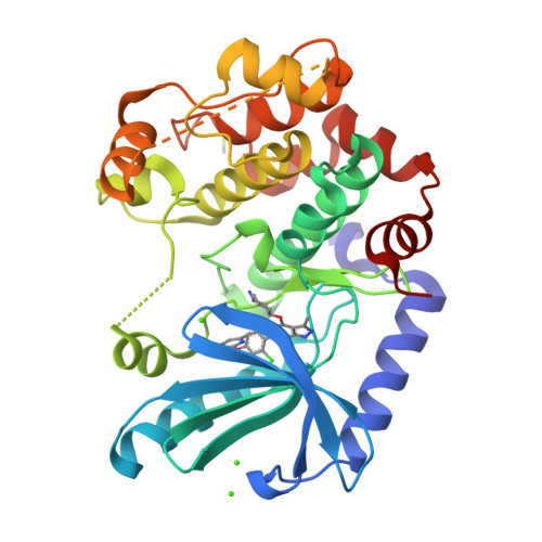 RCSB PDB - 7XLP: MEK1 bound to DS03090629