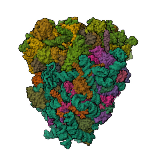 Ribon★(◕ᴗ◕✿)♪̆̈ RCSB PDB - 7XNX: High resolution cry-EM structure of the human 80S