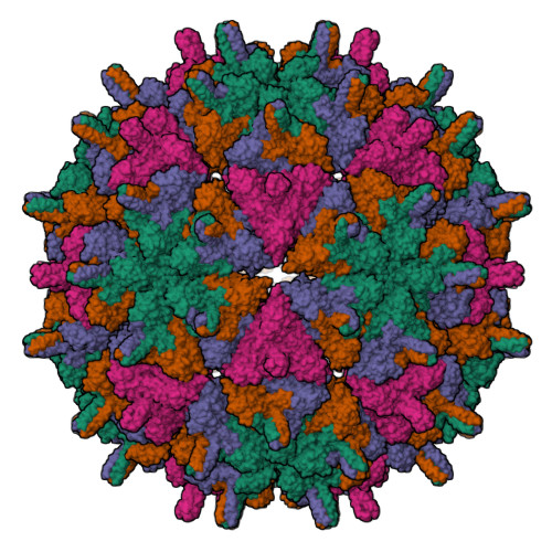 RCSB PDB 7XPB Cryo EM Structure Of The T 4 Lake Sinai Virus 2 Virus Like Capsid At PH 6 5