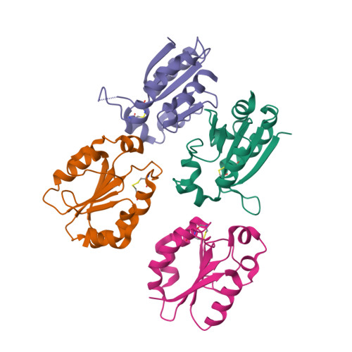 Rcsb Pdb 7xq3 Crystal Structure Of The Tetramer Of Thioredoxin Domain Containing Protein Of