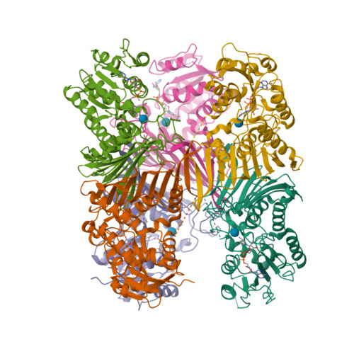 RCSB PDB - 7XR9: Crystal structure of DgpA with glucose