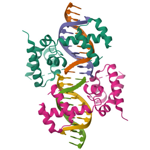 RCSB PDB - 7XRC: Crystal Structure Of The Dimeric Brn2 (Pou3f2) POU ...