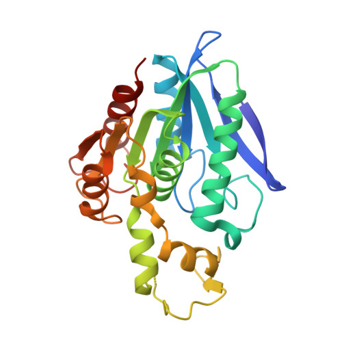 primary structure of protein download free