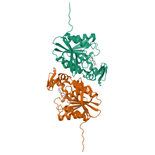 riページ RCSB PDB - 7XRI: Feruloyl esterase mutant -S106A