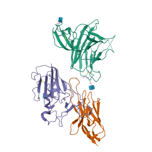 RCSB PDB - 7XRP: Cryo-EM structure of SARS-CoV-2 spike protein in ...