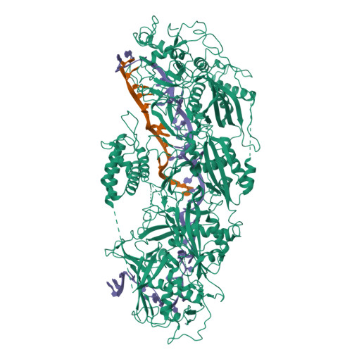 RCSB PDB - 7XSP: Structure Of GRAMP-target RNA