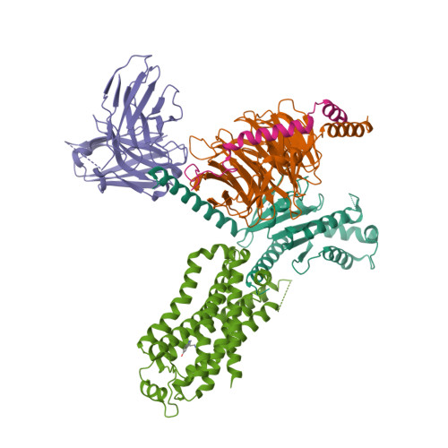 RCSB PDB - 7XTA: Serotonin 4 (5-HT4) receptor-Gi-scFv16 complex