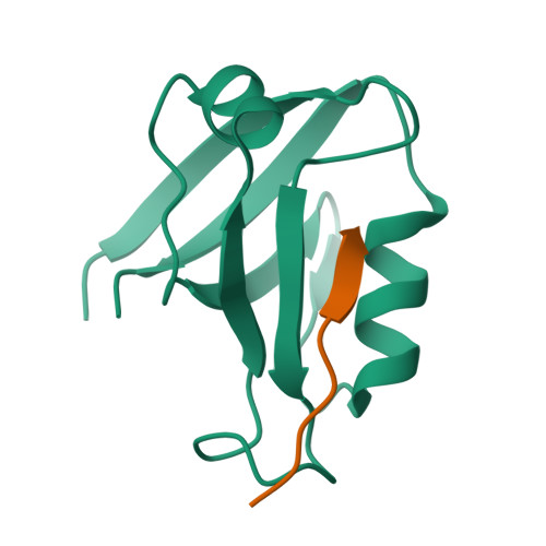 RCSB PDB - 7XTY: Crystal Structure of the second PDZ domain from human ...