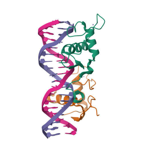 Nuclear receptor ROR-gamma structure