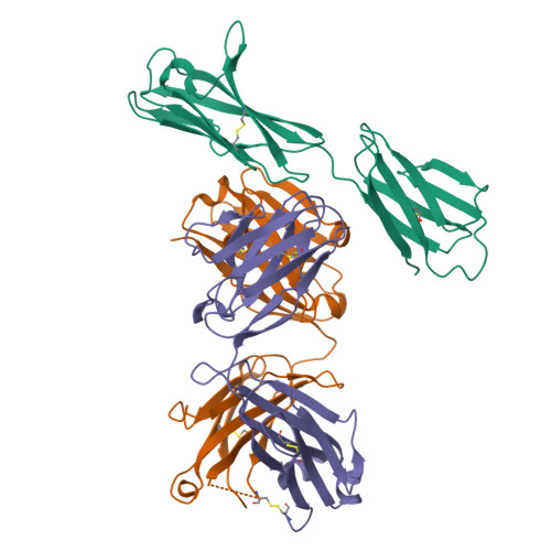 Rcsb Pdb Xy Crystal Structure Of Antibody Fab Fragment In Complex