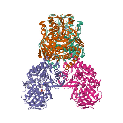 RCSB PDB - 7XYE: The apo structure of Orf1
