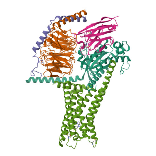 rcsb pdb - 6pt7: structure of kate1 catalase from... RCSB PDB - 7XZ6: GPR119-Gs-APD668 complex