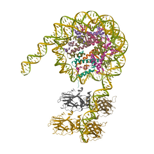 RCSB PDB - 7XZX: Cryo-EM structure of the nucleosome in complex 