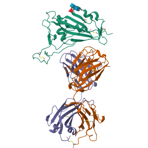 Rcsb Pdb 7y3n Crystal Structure Of Sars Cov Receptor Binding Domain Rcsb Pdb 7y3n Crystal Structure Of Sars Cov Receptor Binding Domain