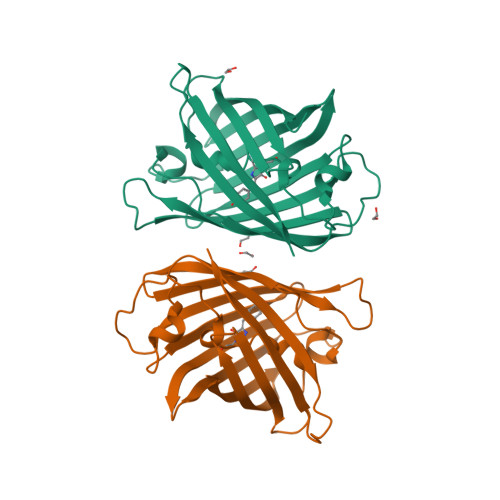 RCSB PDB - 7Y40: Crystal structure of a bright green fluorescent