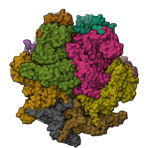 RCSB PDB - 7Y59: The cryo-EM structure of human ERAD retro