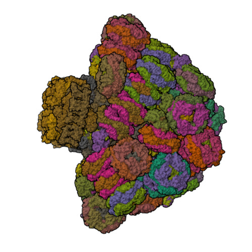 PDB: Thế giới của khoa học luôn liên tục phát triển và PDB là một nơi rất đáng để theo dõi. PDB là viết tắt của Protein Data Bank và đưa ra các thông tin về các chất lượng protein đã được xác định. Đây là nơi bạn có thể tìm hiểu và khám phá về cách protein hoạt động. Hãy cùng xem hình ảnh liên quan tới PDB và khám phá cách thức hoạt động của các chất lượng protein!