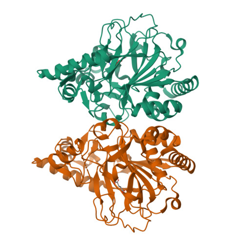 RCSB PDB - 7Y5P: Crystal structure of CmnC in complex with L 