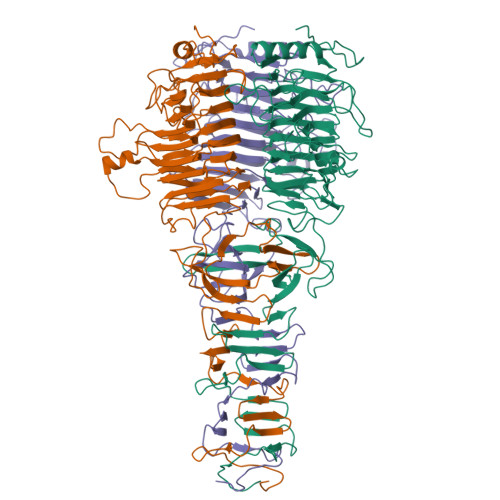 RCSB PDB - 7Y5S: CryoEM structure of Klebsiella phage Kp7 type I tail ...
