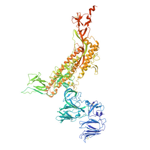 RCSB PDB - 7Y6S: Cryo-EM map of IPEC-J2 cell-derived PEDV PT52 S protein  with three D0-up