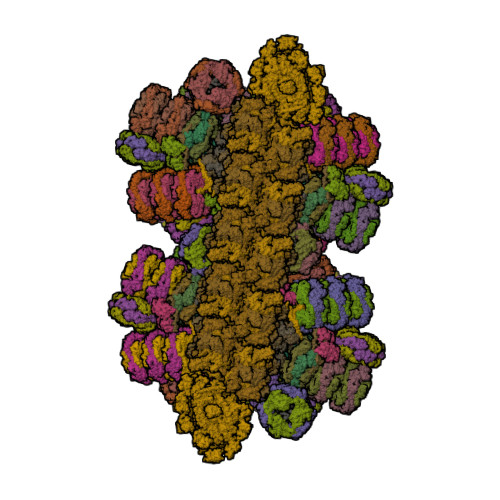 RCSB PDB - 7Y7A: In situ double-PBS-PSII-PSI-LHCs megacomplex from 