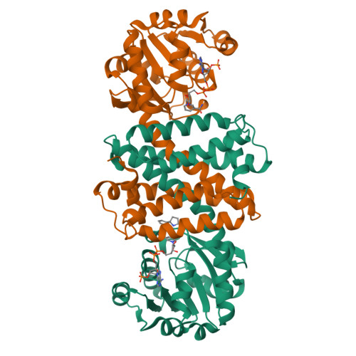 Rcsb Pdb 7y8o Structure Of Scired R3 V4 From Streptomyces