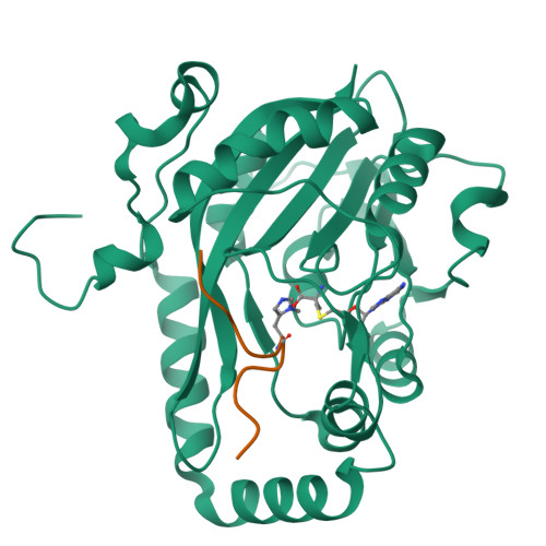 RCSB PDB - 7Y9C: Crystal Structure Of METTL9 In Complex With SLC39A5 ...