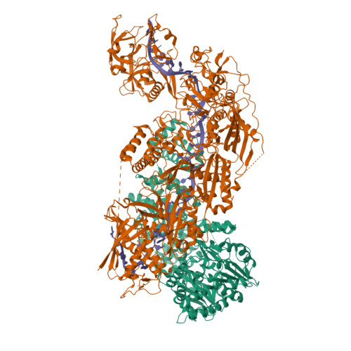 RCSB PDB - 7Y9X: Structure Of The Cas7-11-Csx29-guide RNA Complex