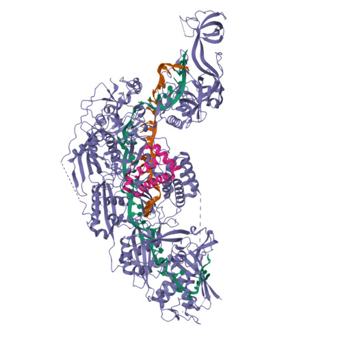 rcsb-pdb-7y9y-structure-of-the-cas7-11-csx29-guide-rna-target-rna