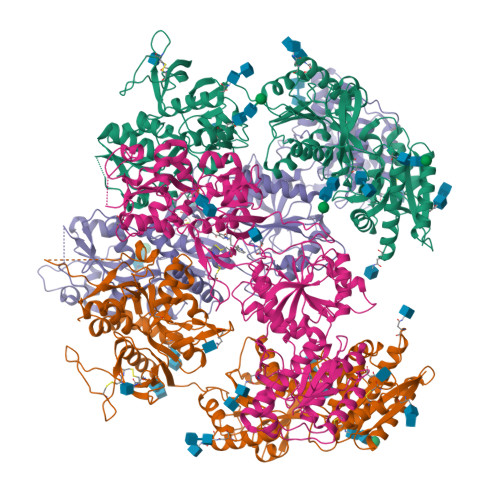 RCSB PDB - 7YFH: Structure Of The Rat GluN1-GluN2C NMDA Receptor In ...