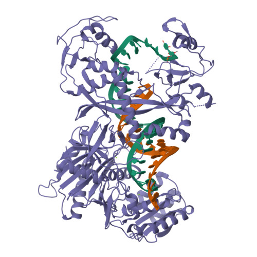 RCSB PDB - 7YFQ: Cryo-EM structure of the EfPiwi (N959K)-piRNA-target ...