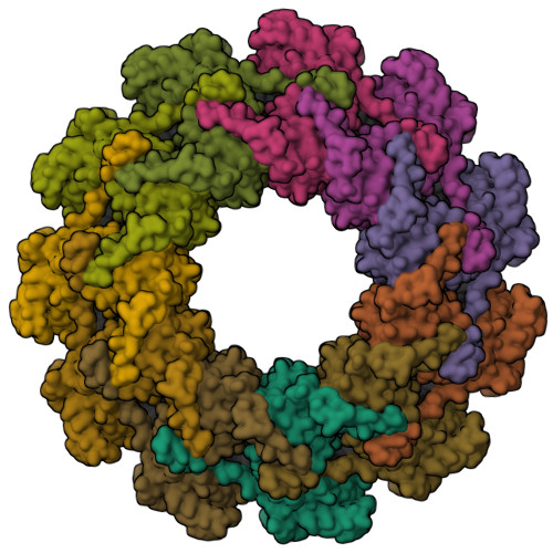 Rcsb Pdb Yg Structure Of The Spring Viraemia Of Carp Virus Ribonucleoprotein Complex