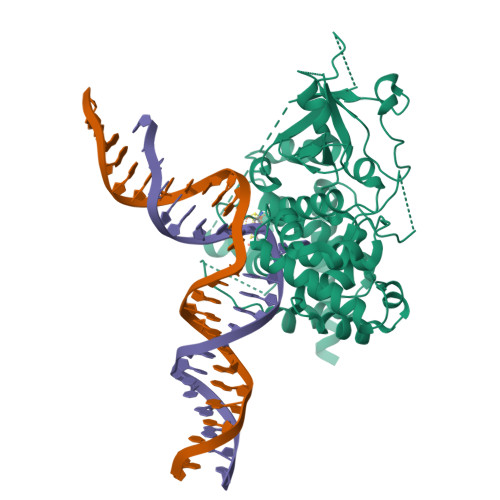 RCSB PDB - 7YHO: CryoEM structure of Arabidopsis ROS1 in complex with ...