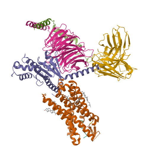 Rcsb Pdb Ykd Cryo Em Structure Of The Human Chemerin Receptor Complex With The C Terminal