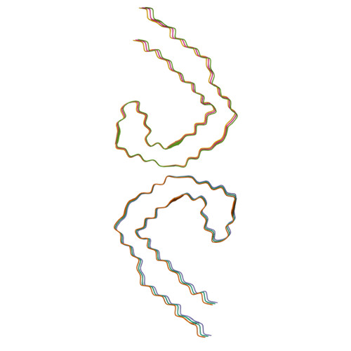 RCSB PDB - 7YMN: Cryo-EM structure of in vitro PHF fibril