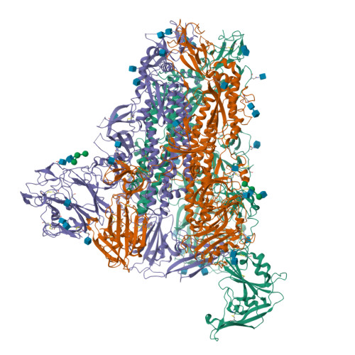 Rcsb Pdb 7ymx Cryo Em Structure Of Mers Cov Spike Protein One Rbd Up Conformation 2