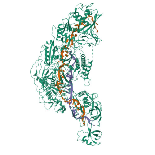 RCSB PDB - 7YNA: Cryo-EM Structure Of Cas7-11-crRNA Bound To Target RNA-1