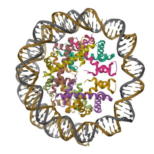 RCSB PDB 7YOZ Cryo EM Structure Of Human Subnucleosome Intermediate Form