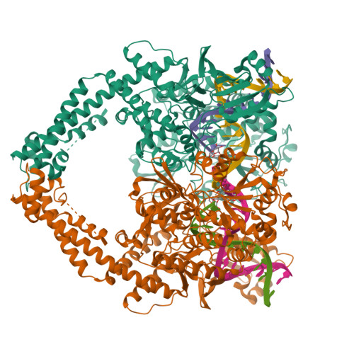 RCSB PDB - 7YQ8: Cryo-EM structure of human topoisomerase II beta in ...