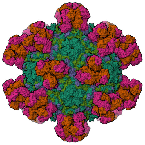 Rcsb Pdb Yrf Cryo Em Structure Of Compact Ca Empty Particle In Complex With A Neutralizing