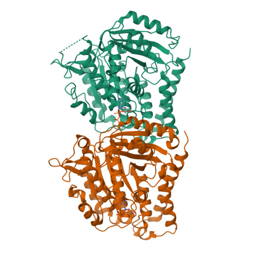 RCSB PDB - 7YSO: Tubulin heterodimer structure of GDP-1 state in solution