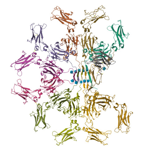 RCSB PDB - 7YTC: Cryo-EM structure of human FcmR bound to IgM-Fc/J