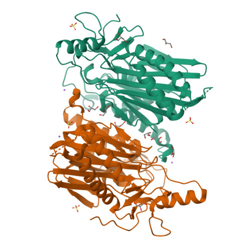 RCSB PDB - 7YU0: Structure of 6-aminohexanoate-oligomer