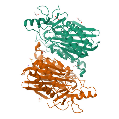 RCSB PDB - 7YU1: Structure of 6-aminohexanoate-oligomer hydrolase