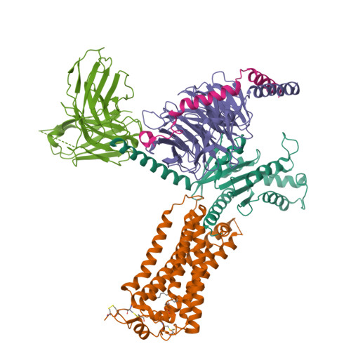 RCSB PDB - 7YU7: Human Lysophosphatidic Acid Receptor 1-Gi complex