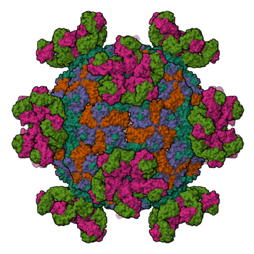 RCSB PDB 7YV7 CryoEM structure of expanded coxsackievirus A16 empty