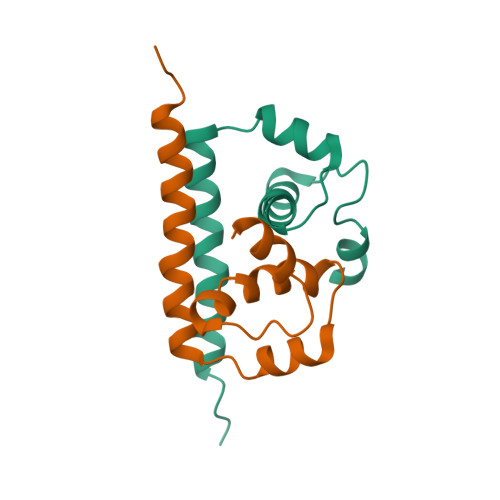 RCSB PDB - 7YWQ: Solution structure of homodimeric Capsid protein ...